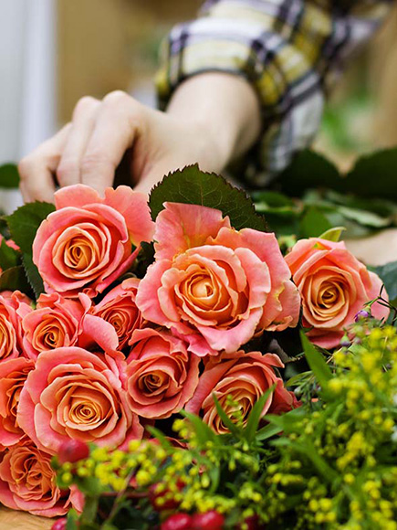 BP Aménagements Paysagers